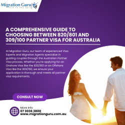 Guide to Choosing Between 820/801 and 309/100 Partner Visas for Australia