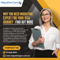 Why You Need a Migration Expert